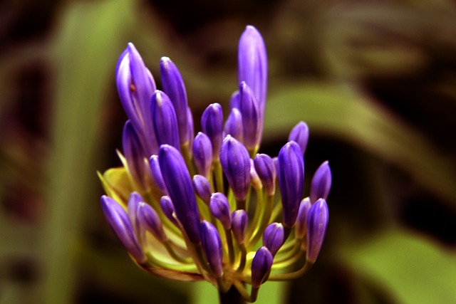 布伦森连场30+＆哈特两双，布伦森关键时刻取分带走比赛